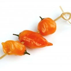 Steven Raichlen Best Of Barbeque™ Cooking Utensils Steven Raichlen Knotted Bamboo Appetizer Skewers