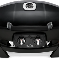 Napoleon TravelQ™ Pro 285